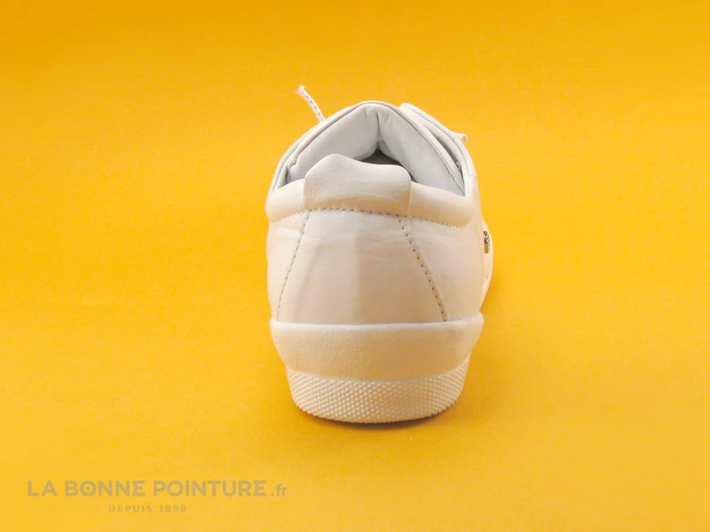 Andrea Conti 0345724 White - Basket Basse Femme Cuir Blanc 6 Andrea Conti 0345724 White - Basket Basse Femme Cuir Blanc â Image 4