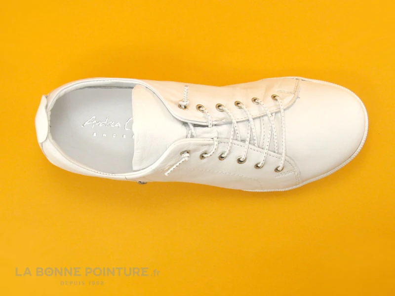 Andrea Conti 0345724 White - Basket Basse Femme Cuir Blanc 8 Andrea Conti 0345724 White - Basket Basse Femme Cuir Blanc â Image 6