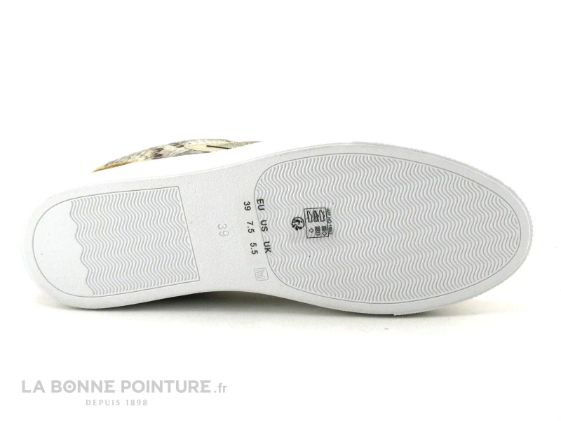 The Divine Factory QL4704 Taupe - Or Python - Sneakers Femme 9 The Divine Factory QL4704 Taupe - Or Python - Sneakers Femme â Image 7